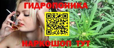 mdpv Бийск