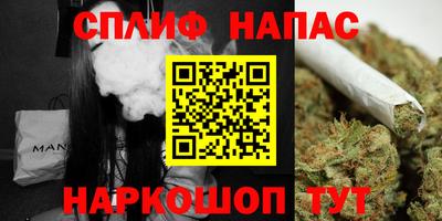индика Беслан