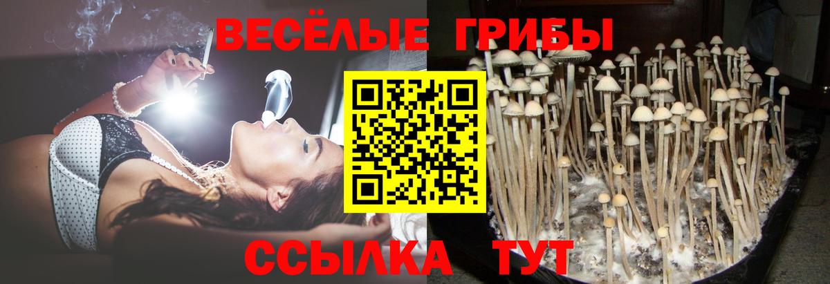 ГАШ  Экстази  НБОМе  МЕФ  Когалым  МЕТ  Гашиш  МЕФ кристаллы  Вход с VPN  COCAIN  Каннабис 
